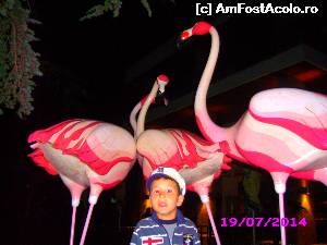 [P22] Simbolul hotelului Flamingo dun centrul Albena » foto by Dania
 - 
<span class="allrVoted glyphicon glyphicon-heart hidden" id="av536400"></span>
<a class="m-l-10 hidden" id="sv536400" onclick="voting_Foto_DelVot(,536400,453)" role="button">șterge vot <span class="glyphicon glyphicon-remove"></span></a>
<a id="v9536400" class=" c-red"  onclick="voting_Foto_SetVot(536400)" role="button"><span class="glyphicon glyphicon-heart-empty"></span> <b>LIKE</b> = Votează poza</a> <img class="hidden"  id="f536400W9" src="/imagini/loader.gif" border="0" /><span class="AjErrMes hidden" id="e536400ErM"></span>