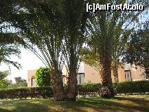 [P22]  -- <small>// FĂRĂ DESCRIERE</small> » foto by rsimona
 - 
<span class="allrVoted glyphicon glyphicon-heart hidden" id="av212043"></span>
<a class="m-l-10 hidden" id="sv212043" onclick="voting_Foto_DelVot(,212043,458)" role="button">șterge vot <span class="glyphicon glyphicon-remove"></span></a>
<a id="v9212043" class=" c-red"  onclick="voting_Foto_SetVot(212043)" role="button"><span class="glyphicon glyphicon-heart-empty"></span> <b>LIKE</b> = Votează poza</a> <img class="hidden"  id="f212043W9" src="/imagini/loader.gif" border="0" /><span class="AjErrMes hidden" id="e212043ErM"></span>