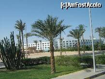 [P26]  -- <small>// FĂRĂ DESCRIERE</small> » foto by rsimona
 - 
<span class="allrVoted glyphicon glyphicon-heart hidden" id="av212047"></span>
<a class="m-l-10 hidden" id="sv212047" onclick="voting_Foto_DelVot(,212047,458)" role="button">șterge vot <span class="glyphicon glyphicon-remove"></span></a>
<a id="v9212047" class=" c-red"  onclick="voting_Foto_SetVot(212047)" role="button"><span class="glyphicon glyphicon-heart-empty"></span> <b>LIKE</b> = Votează poza</a> <img class="hidden"  id="f212047W9" src="/imagini/loader.gif" border="0" /><span class="AjErrMes hidden" id="e212047ErM"></span>