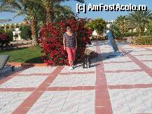 [P08] in gradina » foto by rsimona
 - 
<span class="allrVoted glyphicon glyphicon-heart hidden" id="av211700"></span>
<a class="m-l-10 hidden" id="sv211700" onclick="voting_Foto_DelVot(,211700,458)" role="button">șterge vot <span class="glyphicon glyphicon-remove"></span></a>
<a id="v9211700" class=" c-red"  onclick="voting_Foto_SetVot(211700)" role="button"><span class="glyphicon glyphicon-heart-empty"></span> <b>LIKE</b> = Votează poza</a> <img class="hidden"  id="f211700W9" src="/imagini/loader.gif" border="0" /><span class="AjErrMes hidden" id="e211700ErM"></span>