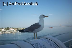 [P02]  -- <small>// FĂRĂ DESCRIERE</small> » foto by tatet55
 - 
<span class="allrVoted glyphicon glyphicon-heart hidden" id="av760748"></span>
<a class="m-l-10 hidden" id="sv760748" onclick="voting_Foto_DelVot(,760748,460)" role="button">șterge vot <span class="glyphicon glyphicon-remove"></span></a>
<a id="v9760748" class=" c-red"  onclick="voting_Foto_SetVot(760748)" role="button"><span class="glyphicon glyphicon-heart-empty"></span> <b>LIKE</b> = Votează poza</a> <img class="hidden"  id="f760748W9" src="/imagini/loader.gif" border="0" /><span class="AjErrMes hidden" id="e760748ErM"></span>