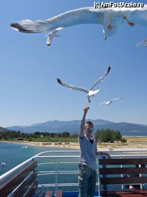 [P01] Pe ferryboat, spectacolul pescarusilor » foto by clau.nov
 - 
<span class="allrVoted glyphicon glyphicon-heart hidden" id="av340101"></span>
<a class="m-l-10 hidden" id="sv340101" onclick="voting_Foto_DelVot(,340101,460)" role="button">șterge vot <span class="glyphicon glyphicon-remove"></span></a>
<a id="v9340101" class=" c-red"  onclick="voting_Foto_SetVot(340101)" role="button"><span class="glyphicon glyphicon-heart-empty"></span> <b>LIKE</b> = Votează poza</a> <img class="hidden"  id="f340101W9" src="/imagini/loader.gif" border="0" /><span class="AjErrMes hidden" id="e340101ErM"></span>