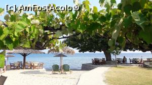 [P10] Plaja Skala Rachoniu (metropolis) copaci si vita de vie » foto by Artana
 - 
<span class="allrVoted glyphicon glyphicon-heart hidden" id="av768318"></span>
<a class="m-l-10 hidden" id="sv768318" onclick="voting_Foto_DelVot(,768318,460)" role="button">șterge vot <span class="glyphicon glyphicon-remove"></span></a>
<a id="v9768318" class=" c-red"  onclick="voting_Foto_SetVot(768318)" role="button"><span class="glyphicon glyphicon-heart-empty"></span> <b>LIKE</b> = Votează poza</a> <img class="hidden"  id="f768318W9" src="/imagini/loader.gif" border="0" /><span class="AjErrMes hidden" id="e768318ErM"></span>