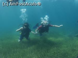 [P40] Scuba » foto by monika27*
 - 
<span class="allrVoted glyphicon glyphicon-heart hidden" id="av768523"></span>
<a class="m-l-10 hidden" id="sv768523" onclick="voting_Foto_DelVot(,768523,460)" role="button">șterge vot <span class="glyphicon glyphicon-remove"></span></a>
<a id="v9768523" class=" c-red"  onclick="voting_Foto_SetVot(768523)" role="button"><span class="glyphicon glyphicon-heart-empty"></span> <b>LIKE</b> = Votează poza</a> <img class="hidden"  id="f768523W9" src="/imagini/loader.gif" border="0" /><span class="AjErrMes hidden" id="e768523ErM"></span>