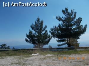 [P12]  -- <small>// FĂRĂ DESCRIERE</small> » foto by elviramvio
 - 
<span class="allrVoted glyphicon glyphicon-heart hidden" id="av820473"></span>
<a class="m-l-10 hidden" id="sv820473" onclick="voting_Foto_DelVot(,820473,460)" role="button">șterge vot <span class="glyphicon glyphicon-remove"></span></a>
<a id="v9820473" class=" c-red"  onclick="voting_Foto_SetVot(820473)" role="button"><span class="glyphicon glyphicon-heart-empty"></span> <b>LIKE</b> = Votează poza</a> <img class="hidden"  id="f820473W9" src="/imagini/loader.gif" border="0" /><span class="AjErrMes hidden" id="e820473ErM"></span>