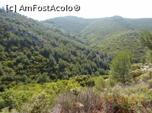 [P02]  -- <small>// FĂRĂ DESCRIERE</small> » foto by elviramvio
 - 
<span class="allrVoted glyphicon glyphicon-heart hidden" id="av820463"></span>
<a class="m-l-10 hidden" id="sv820463" onclick="voting_Foto_DelVot(,820463,460)" role="button">șterge vot <span class="glyphicon glyphicon-remove"></span></a>
<a id="v9820463" class=" c-red"  onclick="voting_Foto_SetVot(820463)" role="button"><span class="glyphicon glyphicon-heart-empty"></span> <b>LIKE</b> = Votează poza</a> <img class="hidden"  id="f820463W9" src="/imagini/loader.gif" border="0" /><span class="AjErrMes hidden" id="e820463ErM"></span>