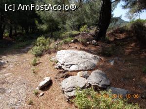 [P06]  -- <small>// FĂRĂ DESCRIERE</small> » foto by elviramvio
 - 
<span class="allrVoted glyphicon glyphicon-heart hidden" id="av820467"></span>
<a class="m-l-10 hidden" id="sv820467" onclick="voting_Foto_DelVot(,820467,460)" role="button">șterge vot <span class="glyphicon glyphicon-remove"></span></a>
<a id="v9820467" class=" c-red"  onclick="voting_Foto_SetVot(820467)" role="button"><span class="glyphicon glyphicon-heart-empty"></span> <b>LIKE</b> = Votează poza</a> <img class="hidden"  id="f820467W9" src="/imagini/loader.gif" border="0" /><span class="AjErrMes hidden" id="e820467ErM"></span>