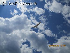 [P01] Pământul este aproape dacă ei zboară asa frumos.  » foto by elviramvio
 - 
<span class="allrVoted glyphicon glyphicon-heart hidden" id="av820663"></span>
<a class="m-l-10 hidden" id="sv820663" onclick="voting_Foto_DelVot(,820663,460)" role="button">șterge vot <span class="glyphicon glyphicon-remove"></span></a>
<a id="v9820663" class=" c-red"  onclick="voting_Foto_SetVot(820663)" role="button"><span class="glyphicon glyphicon-heart-empty"></span> <b>LIKE</b> = Votează poza</a> <img class="hidden"  id="f820663W9" src="/imagini/loader.gif" border="0" /><span class="AjErrMes hidden" id="e820663ErM"></span>