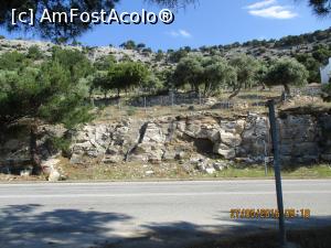 [P19] Maslinii de pe coastele sudice.  » foto by elviramvio
 - 
<span class="allrVoted glyphicon glyphicon-heart hidden" id="av820683"></span>
<a class="m-l-10 hidden" id="sv820683" onclick="voting_Foto_DelVot(,820683,460)" role="button">șterge vot <span class="glyphicon glyphicon-remove"></span></a>
<a id="v9820683" class=" c-red"  onclick="voting_Foto_SetVot(820683)" role="button"><span class="glyphicon glyphicon-heart-empty"></span> <b>LIKE</b> = Votează poza</a> <img class="hidden"  id="f820683W9" src="/imagini/loader.gif" border="0" /><span class="AjErrMes hidden" id="e820683ErM"></span>