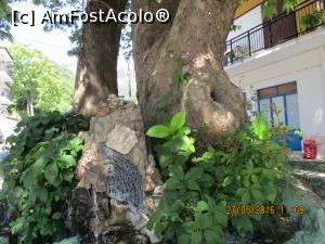 [P47] Izvor la platan in centrul Potamiei » foto by elviramvio
 - 
<span class="allrVoted glyphicon glyphicon-heart hidden" id="av820732"></span>
<a class="m-l-10 hidden" id="sv820732" onclick="voting_Foto_DelVot(,820732,460)" role="button">șterge vot <span class="glyphicon glyphicon-remove"></span></a>
<a id="v9820732" class=" c-red"  onclick="voting_Foto_SetVot(820732)" role="button"><span class="glyphicon glyphicon-heart-empty"></span> <b>LIKE</b> = Votează poza</a> <img class="hidden"  id="f820732W9" src="/imagini/loader.gif" border="0" /><span class="AjErrMes hidden" id="e820732ErM"></span>