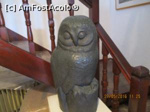 [P53] Muzeul Bagis » foto by elviramvio
 - 
<span class="allrVoted glyphicon glyphicon-heart hidden" id="av820743"></span>
<a class="m-l-10 hidden" id="sv820743" onclick="voting_Foto_DelVot(,820743,460)" role="button">șterge vot <span class="glyphicon glyphicon-remove"></span></a>
<a id="v9820743" class=" c-red"  onclick="voting_Foto_SetVot(820743)" role="button"><span class="glyphicon glyphicon-heart-empty"></span> <b>LIKE</b> = Votează poza</a> <img class="hidden"  id="f820743W9" src="/imagini/loader.gif" border="0" /><span class="AjErrMes hidden" id="e820743ErM"></span>