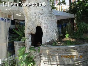 [P60] Un platan si o inima, are si cuier » foto by elviramvio
 - 
<span class="allrVoted glyphicon glyphicon-heart hidden" id="av820750"></span>
<a class="m-l-10 hidden" id="sv820750" onclick="voting_Foto_DelVot(,820750,460)" role="button">șterge vot <span class="glyphicon glyphicon-remove"></span></a>
<a id="v9820750" class=" c-red"  onclick="voting_Foto_SetVot(820750)" role="button"><span class="glyphicon glyphicon-heart-empty"></span> <b>LIKE</b> = Votează poza</a> <img class="hidden"  id="f820750W9" src="/imagini/loader.gif" border="0" /><span class="AjErrMes hidden" id="e820750ErM"></span>