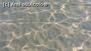 [P04] Apa din Paradise » foto by DaRKruCS
 - 
<span class="allrVoted glyphicon glyphicon-heart hidden" id="av779754"></span>
<a class="m-l-10 hidden" id="sv779754" onclick="voting_Foto_DelVot(,779754,460)" role="button">șterge vot <span class="glyphicon glyphicon-remove"></span></a>
<a id="v9779754" class=" c-red"  onclick="voting_Foto_SetVot(779754)" role="button"><span class="glyphicon glyphicon-heart-empty"></span> <b>LIKE</b> = Votează poza</a> <img class="hidden"  id="f779754W9" src="/imagini/loader.gif" border="0" /><span class="AjErrMes hidden" id="e779754ErM"></span>