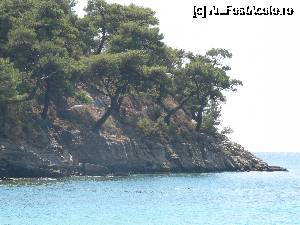 [P01] Thassos - Insula verde a Greciei. Imagini deosebite din peregrinarile noastre prin insula :)  » foto by vega06
 - 
<span class="allrVoted glyphicon glyphicon-heart hidden" id="av693463"></span>
<a class="m-l-10 hidden" id="sv693463" onclick="voting_Foto_DelVot(,693463,460)" role="button">șterge vot <span class="glyphicon glyphicon-remove"></span></a>
<a id="v9693463" class=" c-red"  onclick="voting_Foto_SetVot(693463)" role="button"><span class="glyphicon glyphicon-heart-empty"></span> <b>LIKE</b> = Votează poza</a> <img class="hidden"  id="f693463W9" src="/imagini/loader.gif" border="0" /><span class="AjErrMes hidden" id="e693463ErM"></span>