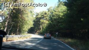 [P118] Cam asa arata drumurile prin Thassos. Sau cea mai mare parte a lor. » foto by vega06
 - 
<span class="allrVoted glyphicon glyphicon-heart hidden" id="av780692"></span>
<a class="m-l-10 hidden" id="sv780692" onclick="voting_Foto_DelVot(,780692,460)" role="button">șterge vot <span class="glyphicon glyphicon-remove"></span></a>
<a id="v9780692" class=" c-red"  onclick="voting_Foto_SetVot(780692)" role="button"><span class="glyphicon glyphicon-heart-empty"></span> <b>LIKE</b> = Votează poza</a> <img class="hidden"  id="f780692W9" src="/imagini/loader.gif" border="0" /><span class="AjErrMes hidden" id="e780692ErM"></span>