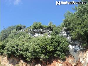 [P14] Thassos - Insula verde a Greciei. Imagini deosebite din peregrinarile noastre prin insula :)  » foto by vega06
 - 
<span class="allrVoted glyphicon glyphicon-heart hidden" id="av693476"></span>
<a class="m-l-10 hidden" id="sv693476" onclick="voting_Foto_DelVot(,693476,460)" role="button">șterge vot <span class="glyphicon glyphicon-remove"></span></a>
<a id="v9693476" class=" c-red"  onclick="voting_Foto_SetVot(693476)" role="button"><span class="glyphicon glyphicon-heart-empty"></span> <b>LIKE</b> = Votează poza</a> <img class="hidden"  id="f693476W9" src="/imagini/loader.gif" border="0" /><span class="AjErrMes hidden" id="e693476ErM"></span>