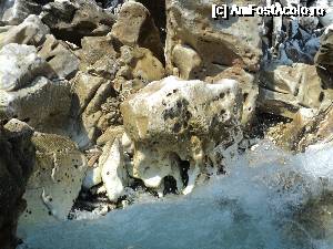 [P42] Thassos - Insula verde a Greciei. Faleza pietroasa a plajei Marble Beach.  » foto by vega06
 - 
<span class="allrVoted glyphicon glyphicon-heart hidden" id="av693504"></span>
<a class="m-l-10 hidden" id="sv693504" onclick="voting_Foto_DelVot(,693504,460)" role="button">șterge vot <span class="glyphicon glyphicon-remove"></span></a>
<a id="v9693504" class=" c-red"  onclick="voting_Foto_SetVot(693504)" role="button"><span class="glyphicon glyphicon-heart-empty"></span> <b>LIKE</b> = Votează poza</a> <img class="hidden"  id="f693504W9" src="/imagini/loader.gif" border="0" /><span class="AjErrMes hidden" id="e693504ErM"></span>