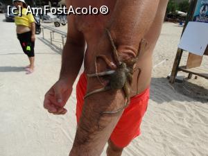 [P92] Hmmm... Chestia aia cred ca arata mai bine-n farfurie :)) » foto by vega06
 - 
<span class="allrVoted glyphicon glyphicon-heart hidden" id="av780079"></span>
<a class="m-l-10 hidden" id="sv780079" onclick="voting_Foto_DelVot(,780079,460)" role="button">șterge vot <span class="glyphicon glyphicon-remove"></span></a>
<a id="v9780079" class=" c-red"  onclick="voting_Foto_SetVot(780079)" role="button"><span class="glyphicon glyphicon-heart-empty"></span> <b>LIKE</b> = Votează poza</a> <img class="hidden"  id="f780079W9" src="/imagini/loader.gif" border="0" /><span class="AjErrMes hidden" id="e780079ErM"></span>