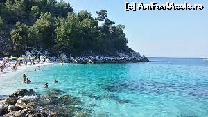 [P53] Turcoaz » foto by CarmenTina
 - 
<span class="allrVoted glyphicon glyphicon-heart hidden" id="av671333"></span>
<a class="m-l-10 hidden" id="sv671333" onclick="voting_Foto_DelVot(,671333,460)" role="button">șterge vot <span class="glyphicon glyphicon-remove"></span></a>
<a id="v9671333" class=" c-red"  onclick="voting_Foto_SetVot(671333)" role="button"><span class="glyphicon glyphicon-heart-empty"></span> <b>LIKE</b> = Votează poza</a> <img class="hidden"  id="f671333W9" src="/imagini/loader.gif" border="0" /><span class="AjErrMes hidden" id="e671333ErM"></span>