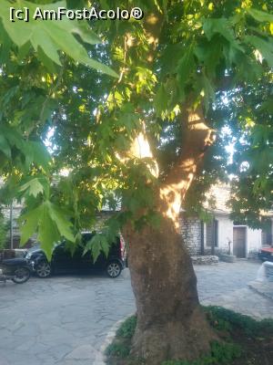 [P21] Platanul de langa muzeul folclorului - Theologos » foto by dawnsash
 - 
<span class="allrVoted glyphicon glyphicon-heart hidden" id="av749308"></span>
<a class="m-l-10 hidden" id="sv749308" onclick="voting_Foto_DelVot(,749308,460)" role="button">șterge vot <span class="glyphicon glyphicon-remove"></span></a>
<a id="v9749308" class=" c-red"  onclick="voting_Foto_SetVot(749308)" role="button"><span class="glyphicon glyphicon-heart-empty"></span> <b>LIKE</b> = Votează poza</a> <img class="hidden"  id="f749308W9" src="/imagini/loader.gif" border="0" /><span class="AjErrMes hidden" id="e749308ErM"></span>