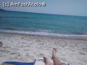 [P02] golden beach » foto by dawnsash
 - 
<span class="allrVoted glyphicon glyphicon-heart hidden" id="av749628"></span>
<a class="m-l-10 hidden" id="sv749628" onclick="voting_Foto_DelVot(,749628,460)" role="button">șterge vot <span class="glyphicon glyphicon-remove"></span></a>
<a id="v9749628" class=" c-red"  onclick="voting_Foto_SetVot(749628)" role="button"><span class="glyphicon glyphicon-heart-empty"></span> <b>LIKE</b> = Votează poza</a> <img class="hidden"  id="f749628W9" src="/imagini/loader.gif" border="0" /><span class="AjErrMes hidden" id="e749628ErM"></span>