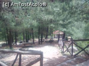 [P16] coborand spre cascada » foto by dawnsash
 - 
<span class="allrVoted glyphicon glyphicon-heart hidden" id="av788031"></span>
<a class="m-l-10 hidden" id="sv788031" onclick="voting_Foto_DelVot(,788031,460)" role="button">șterge vot <span class="glyphicon glyphicon-remove"></span></a>
<a id="v9788031" class=" c-red"  onclick="voting_Foto_SetVot(788031)" role="button"><span class="glyphicon glyphicon-heart-empty"></span> <b>LIKE</b> = Votează poza</a> <img class="hidden"  id="f788031W9" src="/imagini/loader.gif" border="0" /><span class="AjErrMes hidden" id="e788031ErM"></span>