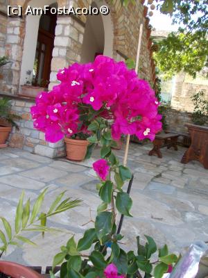 [P19] Theologos, orasul de piatra » foto by dorgo
 - 
<span class="allrVoted glyphicon glyphicon-heart hidden" id="av773871"></span>
<a class="m-l-10 hidden" id="sv773871" onclick="voting_Foto_DelVot(,773871,460)" role="button">șterge vot <span class="glyphicon glyphicon-remove"></span></a>
<a id="v9773871" class=" c-red"  onclick="voting_Foto_SetVot(773871)" role="button"><span class="glyphicon glyphicon-heart-empty"></span> <b>LIKE</b> = Votează poza</a> <img class="hidden"  id="f773871W9" src="/imagini/loader.gif" border="0" /><span class="AjErrMes hidden" id="e773871ErM"></span>