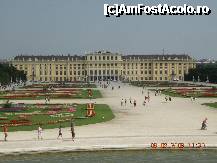 [P04] minunatul Schonbrunn » foto by mirmicu
 - 
<span class="allrVoted glyphicon glyphicon-heart hidden" id="av184308"></span>
<a class="m-l-10 hidden" id="sv184308" onclick="voting_Foto_DelVot(,184308,461)" role="button">șterge vot <span class="glyphicon glyphicon-remove"></span></a>
<a id="v9184308" class=" c-red"  onclick="voting_Foto_SetVot(184308)" role="button"><span class="glyphicon glyphicon-heart-empty"></span> <b>LIKE</b> = Votează poza</a> <img class="hidden"  id="f184308W9" src="/imagini/loader.gif" border="0" /><span class="AjErrMes hidden" id="e184308ErM"></span>