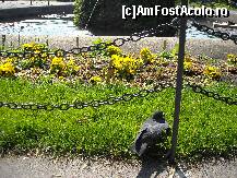 [P03]  -- <small>// FĂRĂ DESCRIERE</small> » foto by Ioana_cj
 - 
<span class="allrVoted glyphicon glyphicon-heart hidden" id="av192611"></span>
<a class="m-l-10 hidden" id="sv192611" onclick="voting_Foto_DelVot(,192611,461)" role="button">șterge vot <span class="glyphicon glyphicon-remove"></span></a>
<a id="v9192611" class=" c-red"  onclick="voting_Foto_SetVot(192611)" role="button"><span class="glyphicon glyphicon-heart-empty"></span> <b>LIKE</b> = Votează poza</a> <img class="hidden"  id="f192611W9" src="/imagini/loader.gif" border="0" /><span class="AjErrMes hidden" id="e192611ErM"></span>