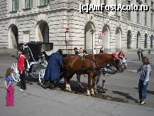 [P13] Viena - trăsurile de la Palatul Hofburg. Cred că ar câştiga mai bine dacă ar taxa pozatul, decât să stea zadarnic după clienţi dornici să arunce sute de euro... » foto by Dragoș_MD
 - 
<span class="allrVoted glyphicon glyphicon-heart hidden" id="av222042"></span>
<a class="m-l-10 hidden" id="sv222042" onclick="voting_Foto_DelVot(,222042,461)" role="button">șterge vot <span class="glyphicon glyphicon-remove"></span></a>
<a id="v9222042" class=" c-red"  onclick="voting_Foto_SetVot(222042)" role="button"><span class="glyphicon glyphicon-heart-empty"></span> <b>LIKE</b> = Votează poza</a> <img class="hidden"  id="f222042W9" src="/imagini/loader.gif" border="0" /><span class="AjErrMes hidden" id="e222042ErM"></span>