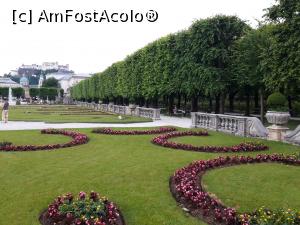 [P60] Palatul Mirabell - grădinile » foto by zlatna
 - 
<span class="allrVoted glyphicon glyphicon-heart hidden" id="av1166224"></span>
<a class="m-l-10 hidden" id="sv1166224" onclick="voting_Foto_DelVot(,1166224,464)" role="button">șterge vot <span class="glyphicon glyphicon-remove"></span></a>
<a id="v91166224" class=" c-red"  onclick="voting_Foto_SetVot(1166224)" role="button"><span class="glyphicon glyphicon-heart-empty"></span> <b>LIKE</b> = Votează poza</a> <img class="hidden"  id="f1166224W9" src="/imagini/loader.gif" border="0" /><span class="AjErrMes hidden" id="e1166224ErM"></span>