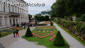 [P07] Fantana lui Pegas » foto by GIN2015*
 - 
<span class="allrVoted glyphicon glyphicon-heart hidden" id="av806025"></span>
<a class="m-l-10 hidden" id="sv806025" onclick="voting_Foto_DelVot(,806025,464)" role="button">șterge vot <span class="glyphicon glyphicon-remove"></span></a>
<a id="v9806025" class=" c-red"  onclick="voting_Foto_SetVot(806025)" role="button"><span class="glyphicon glyphicon-heart-empty"></span> <b>LIKE</b> = Votează poza</a> <img class="hidden"  id="f806025W9" src="/imagini/loader.gif" border="0" /><span class="AjErrMes hidden" id="e806025ErM"></span>