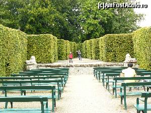 [P35] „Heckentheater” (Teatrul de vara) Gradinile Mirabell » foto by stellinna
 - 
<span class="allrVoted glyphicon glyphicon-heart hidden" id="av671221"></span>
<a class="m-l-10 hidden" id="sv671221" onclick="voting_Foto_DelVot(,671221,464)" role="button">șterge vot <span class="glyphicon glyphicon-remove"></span></a>
<a id="v9671221" class=" c-red"  onclick="voting_Foto_SetVot(671221)" role="button"><span class="glyphicon glyphicon-heart-empty"></span> <b>LIKE</b> = Votează poza</a> <img class="hidden"  id="f671221W9" src="/imagini/loader.gif" border="0" /><span class="AjErrMes hidden" id="e671221ErM"></span>