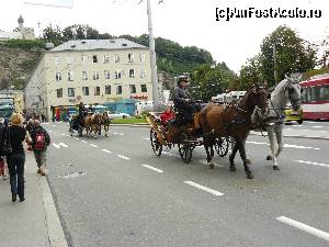 [P08] Salzburg » foto by stellinna
 - 
<span class="allrVoted glyphicon glyphicon-heart hidden" id="av671164"></span>
<a class="m-l-10 hidden" id="sv671164" onclick="voting_Foto_DelVot(,671164,464)" role="button">șterge vot <span class="glyphicon glyphicon-remove"></span></a>
<a id="v9671164" class=" c-red"  onclick="voting_Foto_SetVot(671164)" role="button"><span class="glyphicon glyphicon-heart-empty"></span> <b>LIKE</b> = Votează poza</a> <img class="hidden"  id="f671164W9" src="/imagini/loader.gif" border="0" /><span class="AjErrMes hidden" id="e671164ErM"></span>