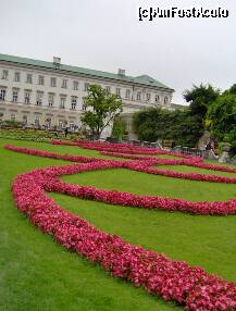 [P15] O zi in Salzburg - Gradinile Mirabell - flori multicolore » foto by irma_ro*
 - 
<span class="allrVoted glyphicon glyphicon-heart hidden" id="av173072"></span>
<a class="m-l-10 hidden" id="sv173072" onclick="voting_Foto_DelVot(,173072,464)" role="button">șterge vot <span class="glyphicon glyphicon-remove"></span></a>
<a id="v9173072" class=" c-red"  onclick="voting_Foto_SetVot(173072)" role="button"><span class="glyphicon glyphicon-heart-empty"></span> <b>LIKE</b> = Votează poza</a> <img class="hidden"  id="f173072W9" src="/imagini/loader.gif" border="0" /><span class="AjErrMes hidden" id="e173072ErM"></span>
