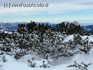 [P38] Untersberg - platoul » foto by adso
 - 
<span class="allrVoted glyphicon glyphicon-heart hidden" id="av1517547"></span>
<a class="m-l-10 hidden" id="sv1517547" onclick="voting_Foto_DelVot(,1517547,464)" role="button">șterge vot <span class="glyphicon glyphicon-remove"></span></a>
<a id="v91517547" class=" c-red"  onclick="voting_Foto_SetVot(1517547)" role="button"><span class="glyphicon glyphicon-heart-empty"></span> <b>LIKE</b> = Votează poza</a> <img class="hidden"  id="f1517547W9" src="/imagini/loader.gif" border="0" /><span class="AjErrMes hidden" id="e1517547ErM"></span>