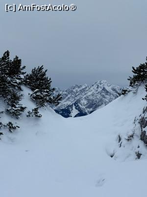 [P42] Untersberg - platoul » foto by adso
 - 
<span class="allrVoted glyphicon glyphicon-heart hidden" id="av1517551"></span>
<a class="m-l-10 hidden" id="sv1517551" onclick="voting_Foto_DelVot(,1517551,464)" role="button">șterge vot <span class="glyphicon glyphicon-remove"></span></a>
<a id="v91517551" class=" c-red"  onclick="voting_Foto_SetVot(1517551)" role="button"><span class="glyphicon glyphicon-heart-empty"></span> <b>LIKE</b> = Votează poza</a> <img class="hidden"  id="f1517551W9" src="/imagini/loader.gif" border="0" /><span class="AjErrMes hidden" id="e1517551ErM"></span>