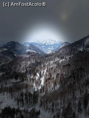 [P49] Telecabina de pe Untersberg » foto by adso
 - 
<span class="allrVoted glyphicon glyphicon-heart hidden" id="av1517558"></span>
<a class="m-l-10 hidden" id="sv1517558" onclick="voting_Foto_DelVot(,1517558,464)" role="button">șterge vot <span class="glyphicon glyphicon-remove"></span></a>
<a id="v91517558" class=" c-red"  onclick="voting_Foto_SetVot(1517558)" role="button"><span class="glyphicon glyphicon-heart-empty"></span> <b>LIKE</b> = Votează poza</a> <img class="hidden"  id="f1517558W9" src="/imagini/loader.gif" border="0" /><span class="AjErrMes hidden" id="e1517558ErM"></span>