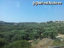 [P10] Creta, in partea de nord, plantatii de maslini » foto by popescuionut
 - 
<span class="allrVoted glyphicon glyphicon-heart hidden" id="av446793"></span>
<a class="m-l-10 hidden" id="sv446793" onclick="voting_Foto_DelVot(,446793,481)" role="button">șterge vot <span class="glyphicon glyphicon-remove"></span></a>
<a id="v9446793" class=" c-red"  onclick="voting_Foto_SetVot(446793)" role="button"><span class="glyphicon glyphicon-heart-empty"></span> <b>LIKE</b> = Votează poza</a> <img class="hidden"  id="f446793W9" src="/imagini/loader.gif" border="0" /><span class="AjErrMes hidden" id="e446793ErM"></span>