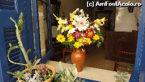 [P28]  -- <small>// FĂRĂ DESCRIERE</small> » foto by simon_niculae
 - 
<span class="allrVoted glyphicon glyphicon-heart hidden" id="av560773"></span>
<a class="m-l-10 hidden" id="sv560773" onclick="voting_Foto_DelVot(,560773,481)" role="button">șterge vot <span class="glyphicon glyphicon-remove"></span></a>
<a id="v9560773" class=" c-red"  onclick="voting_Foto_SetVot(560773)" role="button"><span class="glyphicon glyphicon-heart-empty"></span> <b>LIKE</b> = Votează poza</a> <img class="hidden"  id="f560773W9" src="/imagini/loader.gif" border="0" /><span class="AjErrMes hidden" id="e560773ErM"></span>