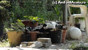 [P34]  -- <small>// FĂRĂ DESCRIERE</small> » foto by simon_niculae
 - 
<span class="allrVoted glyphicon glyphicon-heart hidden" id="av560783"></span>
<a class="m-l-10 hidden" id="sv560783" onclick="voting_Foto_DelVot(,560783,481)" role="button">șterge vot <span class="glyphicon glyphicon-remove"></span></a>
<a id="v9560783" class=" c-red"  onclick="voting_Foto_SetVot(560783)" role="button"><span class="glyphicon glyphicon-heart-empty"></span> <b>LIKE</b> = Votează poza</a> <img class="hidden"  id="f560783W9" src="/imagini/loader.gif" border="0" /><span class="AjErrMes hidden" id="e560783ErM"></span>