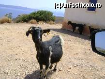 [P54] Balos - Gramvousa (pe drumul de capre)  » foto by SKC
 - 
<span class="allrVoted glyphicon glyphicon-heart hidden" id="av470284"></span>
<a class="m-l-10 hidden" id="sv470284" onclick="voting_Foto_DelVot(,470284,481)" role="button">șterge vot <span class="glyphicon glyphicon-remove"></span></a>
<a id="v9470284" class=" c-red"  onclick="voting_Foto_SetVot(470284)" role="button"><span class="glyphicon glyphicon-heart-empty"></span> <b>LIKE</b> = Votează poza</a> <img class="hidden"  id="f470284W9" src="/imagini/loader.gif" border="0" /><span class="AjErrMes hidden" id="e470284ErM"></span>