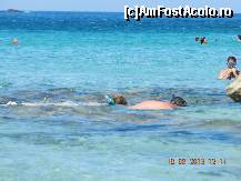 [P18] snorkeling plaja Falasarna 40 km vest de Maleme » foto by Motanul*
 - 
<span class="allrVoted glyphicon glyphicon-heart hidden" id="av490068"></span>
<a class="m-l-10 hidden" id="sv490068" onclick="voting_Foto_DelVot(,490068,481)" role="button">șterge vot <span class="glyphicon glyphicon-remove"></span></a>
<a id="v9490068" class=" c-red"  onclick="voting_Foto_SetVot(490068)" role="button"><span class="glyphicon glyphicon-heart-empty"></span> <b>LIKE</b> = Votează poza</a> <img class="hidden"  id="f490068W9" src="/imagini/loader.gif" border="0" /><span class="AjErrMes hidden" id="e490068ErM"></span>