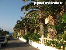 [P27] Sissi=hotel Palm Beach-vedere laterala-cel mai frumos dpdv al peisajului-plin de palmieri/banani/portocali/gref etc » foto by Motanul*
 - 
<span class="allrVoted glyphicon glyphicon-heart hidden" id="av490077"></span>
<a class="m-l-10 hidden" id="sv490077" onclick="voting_Foto_DelVot(,490077,481)" role="button">șterge vot <span class="glyphicon glyphicon-remove"></span></a>
<a id="v9490077" class=" c-red"  onclick="voting_Foto_SetVot(490077)" role="button"><span class="glyphicon glyphicon-heart-empty"></span> <b>LIKE</b> = Votează poza</a> <img class="hidden"  id="f490077W9" src="/imagini/loader.gif" border="0" /><span class="AjErrMes hidden" id="e490077ErM"></span>
