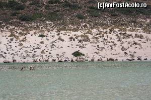 [P08]  -- <small>// FĂRĂ DESCRIERE</small> » foto by danieltanase*
 - 
<span class="allrVoted glyphicon glyphicon-heart hidden" id="av551481"></span>
<a class="m-l-10 hidden" id="sv551481" onclick="voting_Foto_DelVot(,551481,481)" role="button">șterge vot <span class="glyphicon glyphicon-remove"></span></a>
<a id="v9551481" class=" c-red"  onclick="voting_Foto_SetVot(551481)" role="button"><span class="glyphicon glyphicon-heart-empty"></span> <b>LIKE</b> = Votează poza</a> <img class="hidden"  id="f551481W9" src="/imagini/loader.gif" border="0" /><span class="AjErrMes hidden" id="e551481ErM"></span>