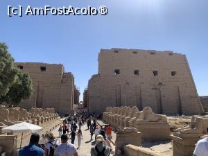[P16] Templul Karnak,alee de intrare » foto by AZE
 - 
<span class="allrVoted glyphicon glyphicon-heart hidden" id="av1417845"></span>
<a class="m-l-10 hidden" id="sv1417845" onclick="voting_Foto_DelVot(,1417845,566)" role="button">șterge vot <span class="glyphicon glyphicon-remove"></span></a>
<a id="v91417845" class=" c-red"  onclick="voting_Foto_SetVot(1417845)" role="button"><span class="glyphicon glyphicon-heart-empty"></span> <b>LIKE</b> = Votează poza</a> <img class="hidden"  id="f1417845W9" src="/imagini/loader.gif" border="0" /><span class="AjErrMes hidden" id="e1417845ErM"></span>