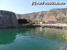 [P09] deja in Kotor - un loc nemaipomenit, unde ai nevoie de cel putin o zi sa simti cu adevarat atmosfera :) » foto by gheisa
 - 
<span class="allrVoted glyphicon glyphicon-heart hidden" id="av268300"></span>
<a class="m-l-10 hidden" id="sv268300" onclick="voting_Foto_DelVot(,268300,593)" role="button">șterge vot <span class="glyphicon glyphicon-remove"></span></a>
<a id="v9268300" class=" c-red"  onclick="voting_Foto_SetVot(268300)" role="button"><span class="glyphicon glyphicon-heart-empty"></span> <b>LIKE</b> = Votează poza</a> <img class="hidden"  id="f268300W9" src="/imagini/loader.gif" border="0" /><span class="AjErrMes hidden" id="e268300ErM"></span>