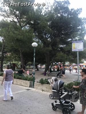 [P41] Prin parc » foto by krisstinna
 - 
<span class="allrVoted glyphicon glyphicon-heart hidden" id="av990419"></span>
<a class="m-l-10 hidden" id="sv990419" onclick="voting_Foto_DelVot(,990419,619)" role="button">șterge vot <span class="glyphicon glyphicon-remove"></span></a>
<a id="v9990419" class=" c-red"  onclick="voting_Foto_SetVot(990419)" role="button"><span class="glyphicon glyphicon-heart-empty"></span> <b>LIKE</b> = Votează poza</a> <img class="hidden"  id="f990419W9" src="/imagini/loader.gif" border="0" /><span class="AjErrMes hidden" id="e990419ErM"></span>