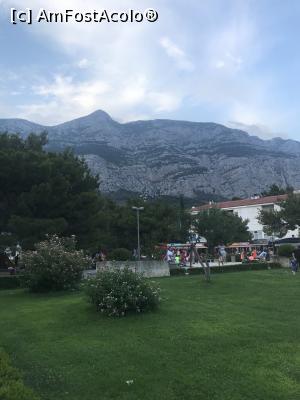 [P42] Prin parc » foto by krisstinna
 - 
<span class="allrVoted glyphicon glyphicon-heart hidden" id="av990422"></span>
<a class="m-l-10 hidden" id="sv990422" onclick="voting_Foto_DelVot(,990422,619)" role="button">șterge vot <span class="glyphicon glyphicon-remove"></span></a>
<a id="v9990422" class=" c-red"  onclick="voting_Foto_SetVot(990422)" role="button"><span class="glyphicon glyphicon-heart-empty"></span> <b>LIKE</b> = Votează poza</a> <img class="hidden"  id="f990422W9" src="/imagini/loader.gif" border="0" /><span class="AjErrMes hidden" id="e990422ErM"></span>