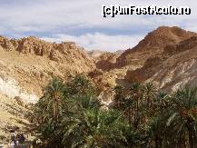 [P10] vorbele nu fac doi bani » foto by mirmicu
 - 
<span class="allrVoted glyphicon glyphicon-heart hidden" id="av184212"></span>
<a class="m-l-10 hidden" id="sv184212" onclick="voting_Foto_DelVot(,184212,658)" role="button">șterge vot <span class="glyphicon glyphicon-remove"></span></a>
<a id="v9184212" class=" c-red"  onclick="voting_Foto_SetVot(184212)" role="button"><span class="glyphicon glyphicon-heart-empty"></span> <b>LIKE</b> = Votează poza</a> <img class="hidden"  id="f184212W9" src="/imagini/loader.gif" border="0" /><span class="AjErrMes hidden" id="e184212ErM"></span>